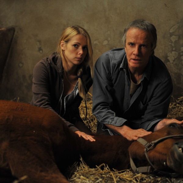 mabonneetoile_img_14