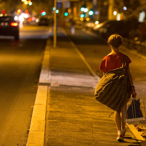 Lincomprise3©Stefano-Iachetti